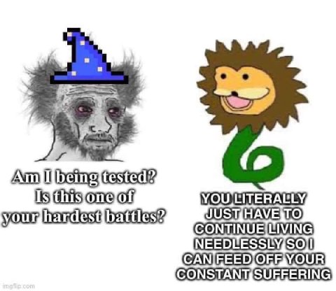 your