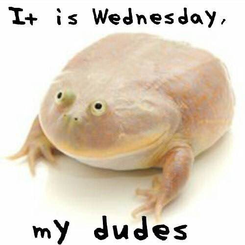 I+ is Wednesday, my dudes