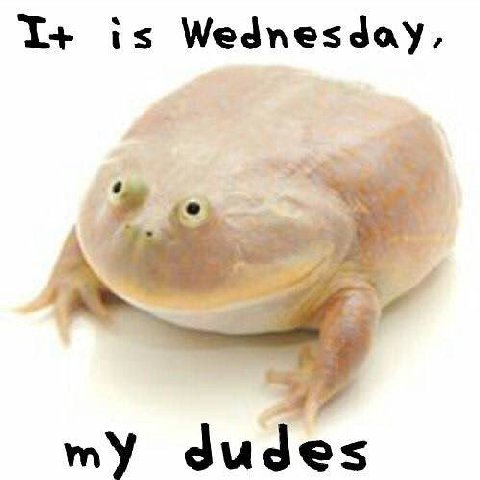 I+ is Wednesday, my dudes
