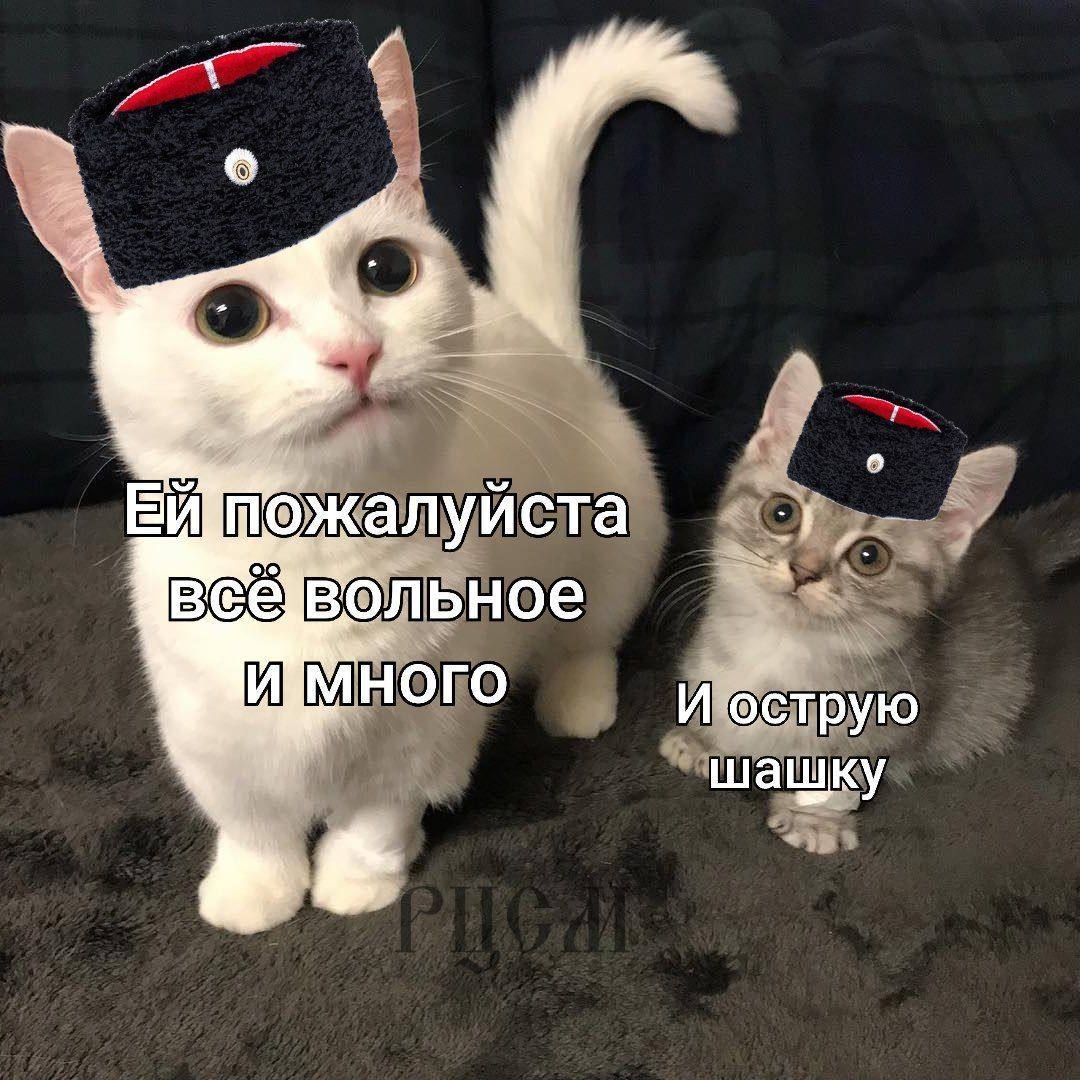 все И МНОГО И острую шашку