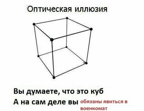 Оптическая иллюзия Вы думаете, что это куб Ана сам деле вы обязаны явиться в военкомат