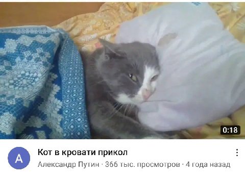 0:18 Кот в кровати прикол Александр Путин 366 тыс. просмотров 4 года назад