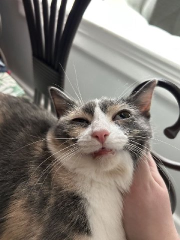 MFW done gooning