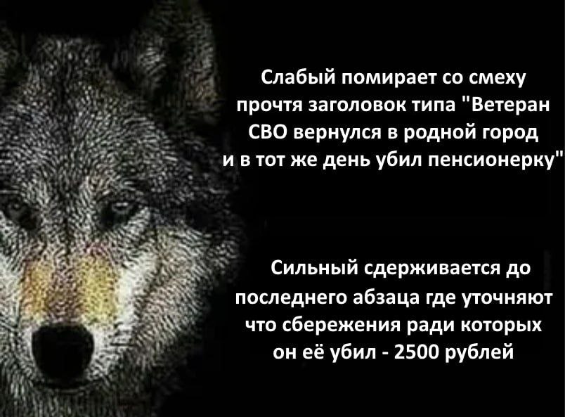 a4 Слабый помирает смеху АУТ прочтя заголовок типа "Ветеран СВО вернулся в родной город и втот же день убил пенсионерку" 7 #1 Сильный сдерживается до последнего абзаца где уточняют что сбережения ради