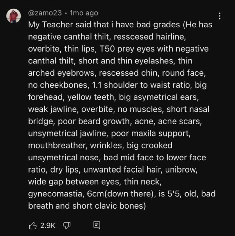Teacher said that have bad grades (Не has negative canthal thilt, resscesed hairline, overbite, thin lips, prey eyes with negative canthal thilt, short and thin eyelashes, thin arched eyebrows, resces