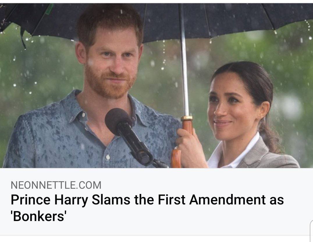 а NEONNETTLE.COM Prince Harry Slams the First Amendment as ‘Bonkers: