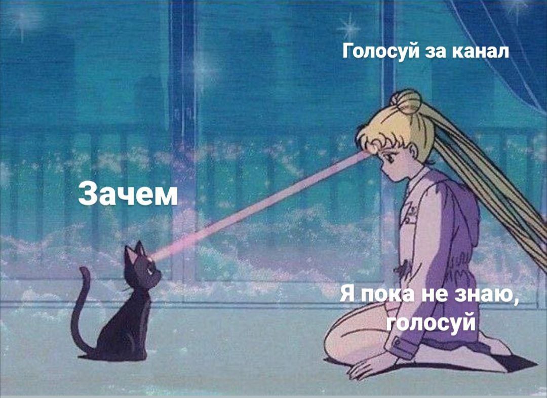 Голосуй за канал Зачем пока не знаю, голосуй