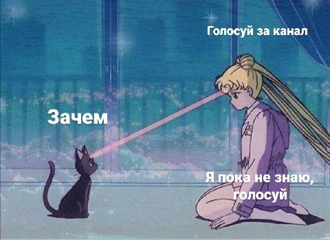 Голосуй за канал Зачем пока не знаю, голосуй