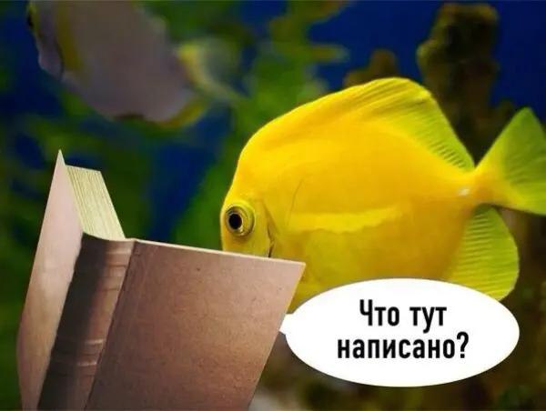 Что тут написано?