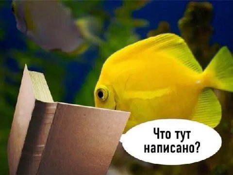 Что тут написано?