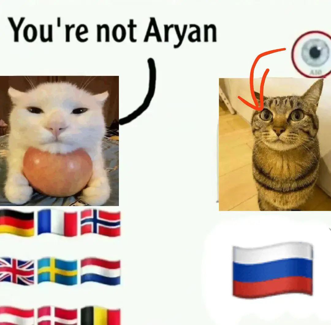 You're not Aryan