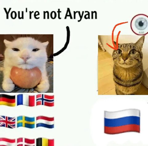 You're not Aryan
