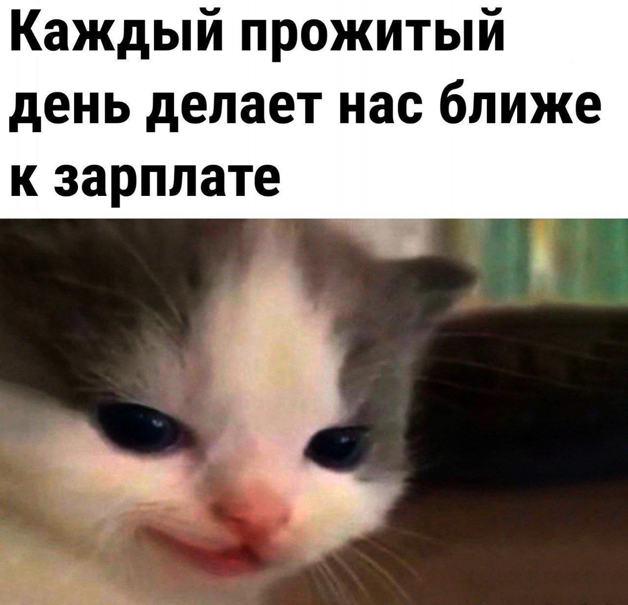 Каждый прожитый день делает нас ближе К зарплате