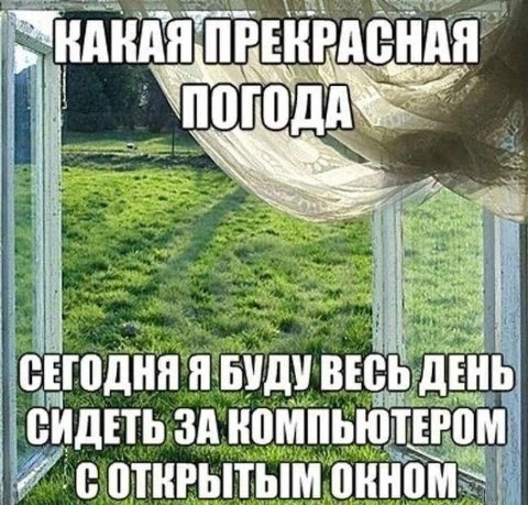 ПРЕКРАСНАЯ С СЕГОДНЯ Я БУДУ ВЕСЬ ДЕНЬ СИДЕТЬ ЗА КОМПЬЮТЕРОМ ОТКРЫТЫМ OKHOM~