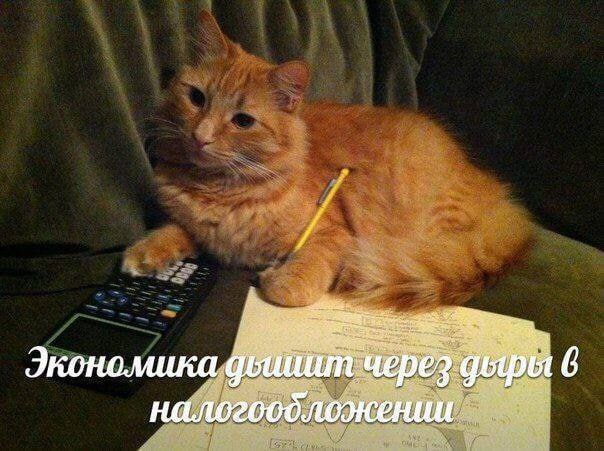 Экономика налогообложении