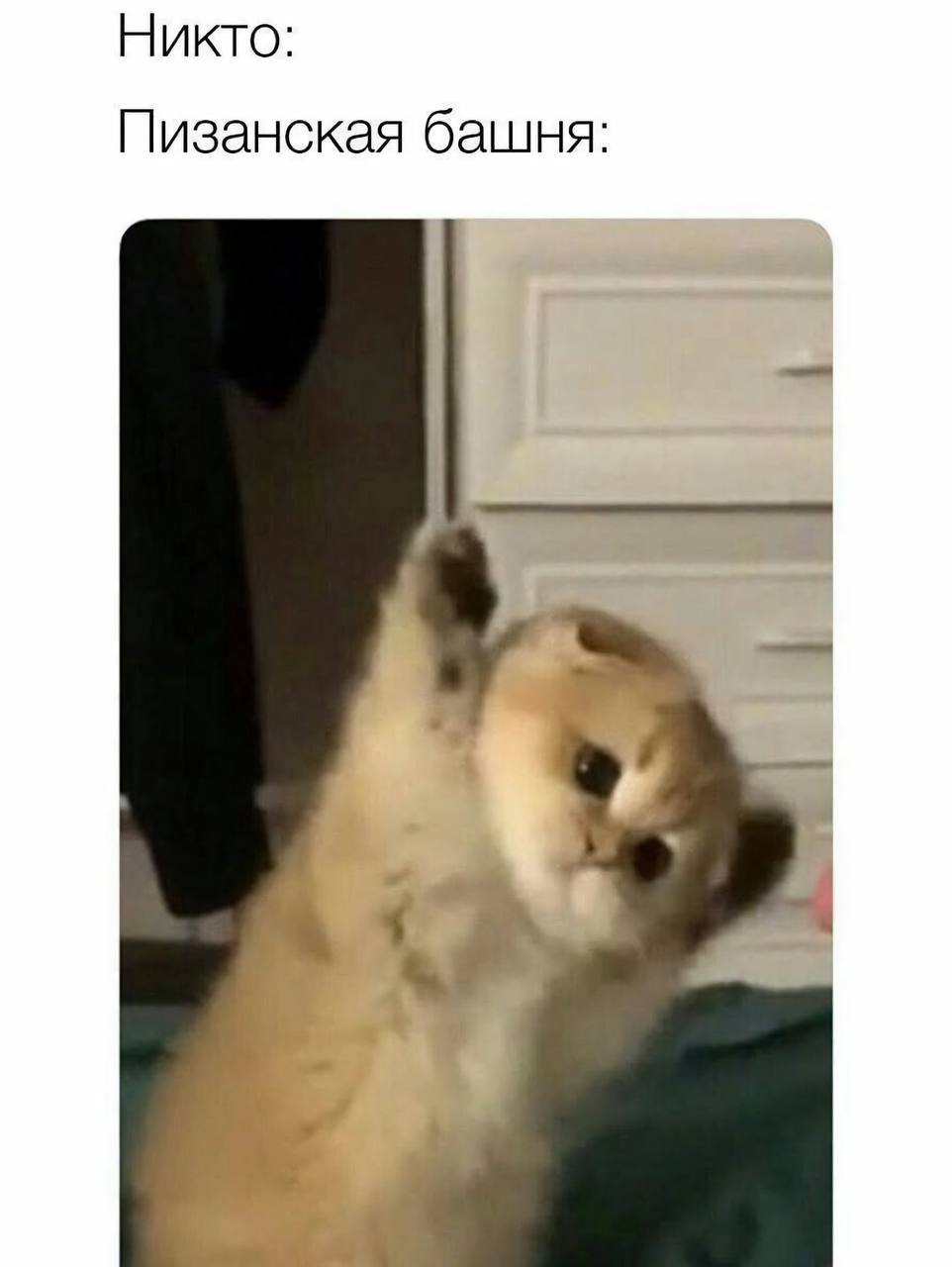Никто: Пизанская башня: