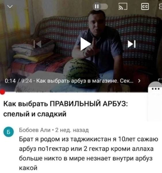 и 0:14 Как выбрать арбуз в магазине. Сек... Как выбрать ПРАВИЛЬНЫЙ АРБУЗ: спелый и сладкий Бобоев Али 2 нед. назад Брат я родом из таджикистан я 10лет сажаю арбуз по1гектар или 2 гектар кроми аллаха б