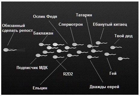 Ослик Федя Татарин Обязанный Спермотрон Ебанутый китаец сделать репост Баклажан Твой дед Подписчик МДК Гей Дважды еврей Ельцин