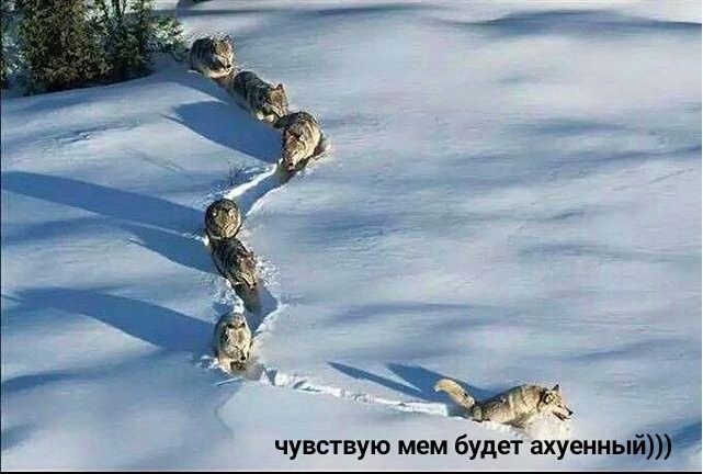 извините