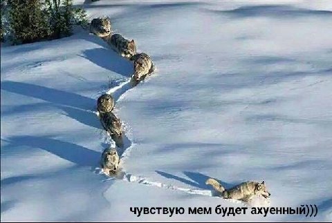 извините