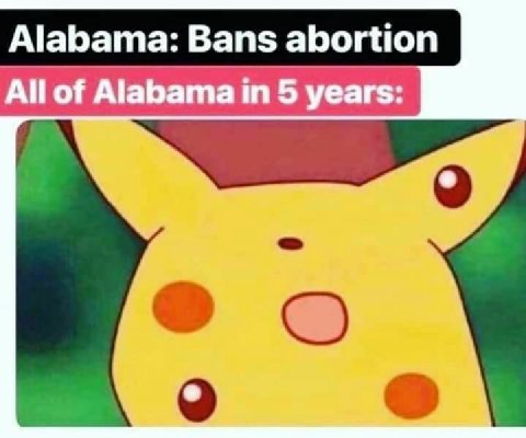 Alabama: Bans abortion All of Alabama in 5 years: