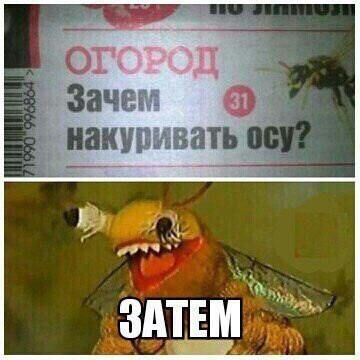 Зачем накуривать ЗАТЕМ i