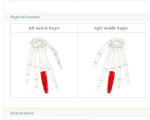 Regional locations: left middle finge1 right middle finger Body locations: