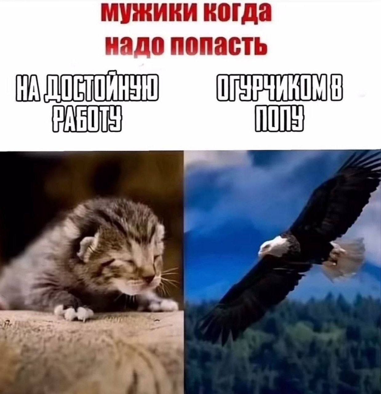 мужики когда надо попасть ПОПУ