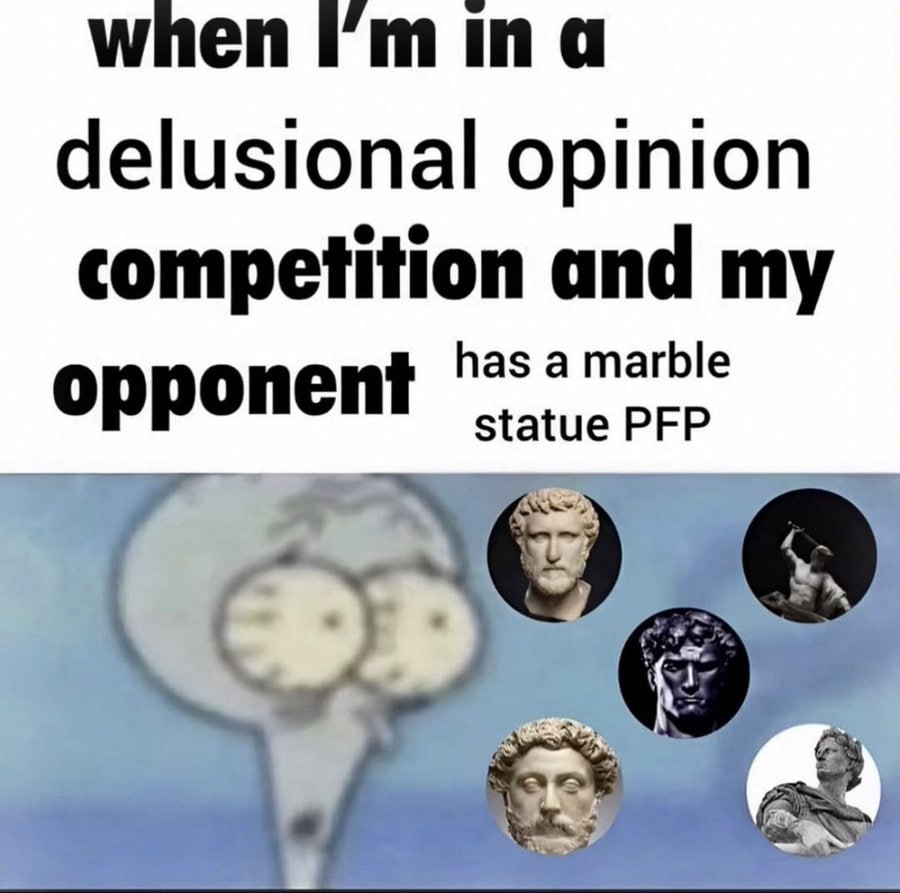 when delusional opinion competition and my has a marble opponent statue PFP