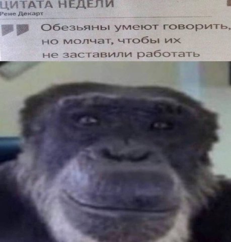 {ИТАТА НЕДЕЛИ 2ене Декарт Обезьяны умеют говорить, молчат, чтобы не заставили работать 4 3 4