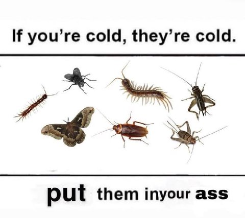 you’re cold, they’re cold. put them inyour ass