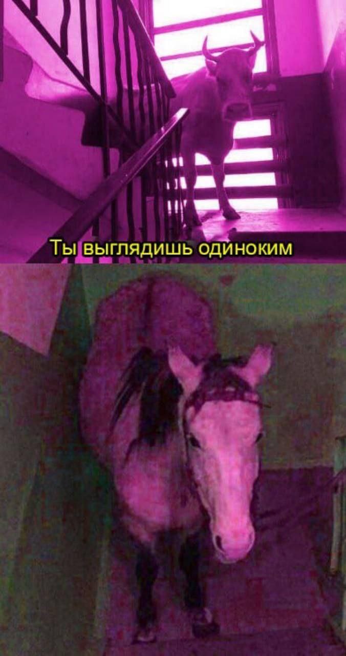 7 Ты выглядишь одиноким