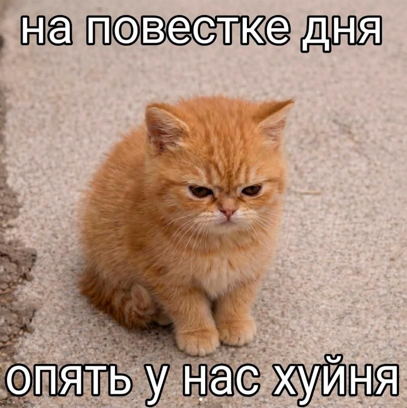 на повестке дня опять у нас хуйня