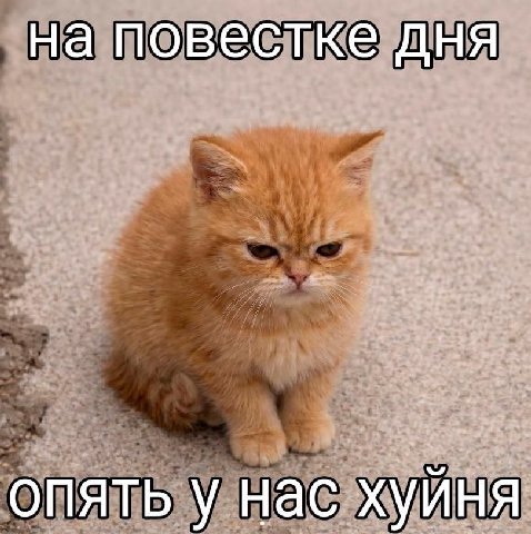 на повестке дня опять у нас хуйня