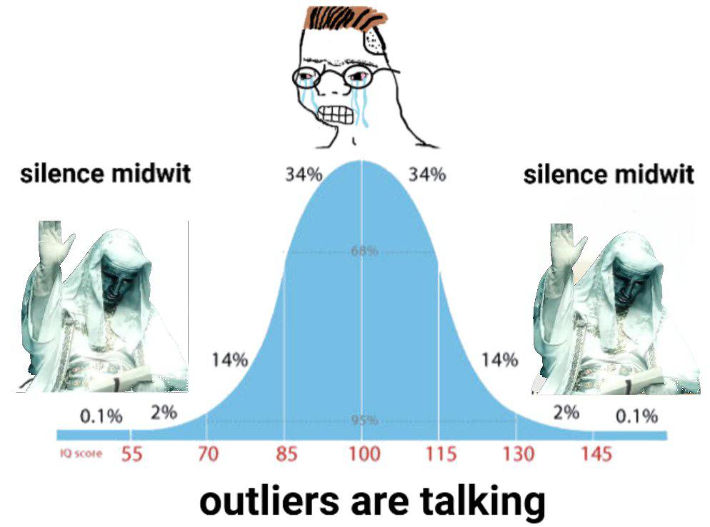 silence midwit 34% 34% silence midwit и 14% 14% 0.1% 2% 2% 0.1% 055 70 85 100 115 130 145 outliers are talking