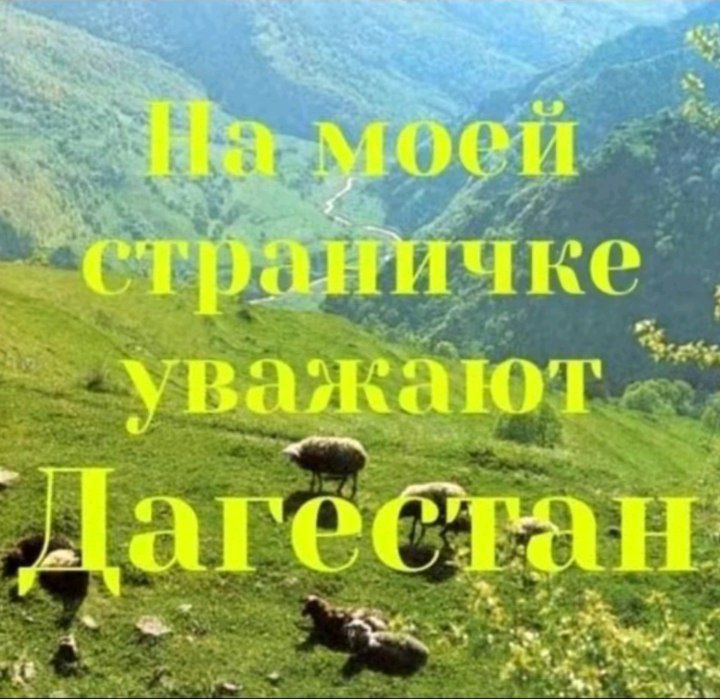 моей уважают Дагестан