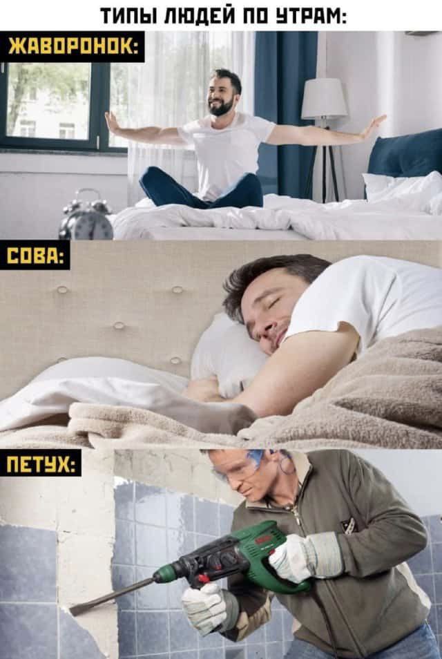 ТИПЫ ЛЮДЕЙ ПО УТРАМ: ЖАВОРОНОК: 1 COBA: И ПЕТУХ: И а