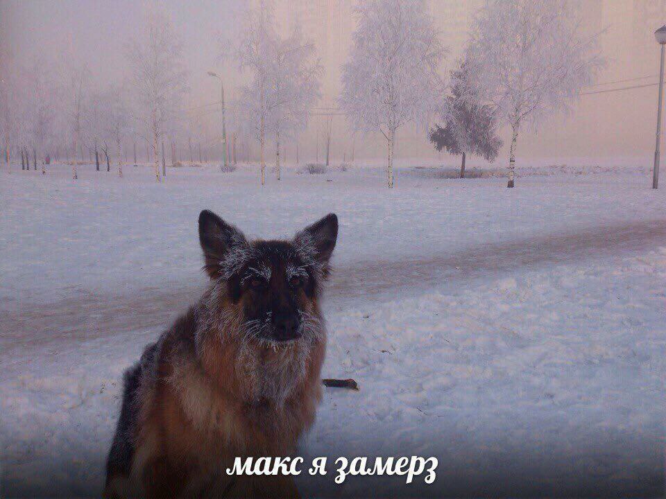 макс я замерз