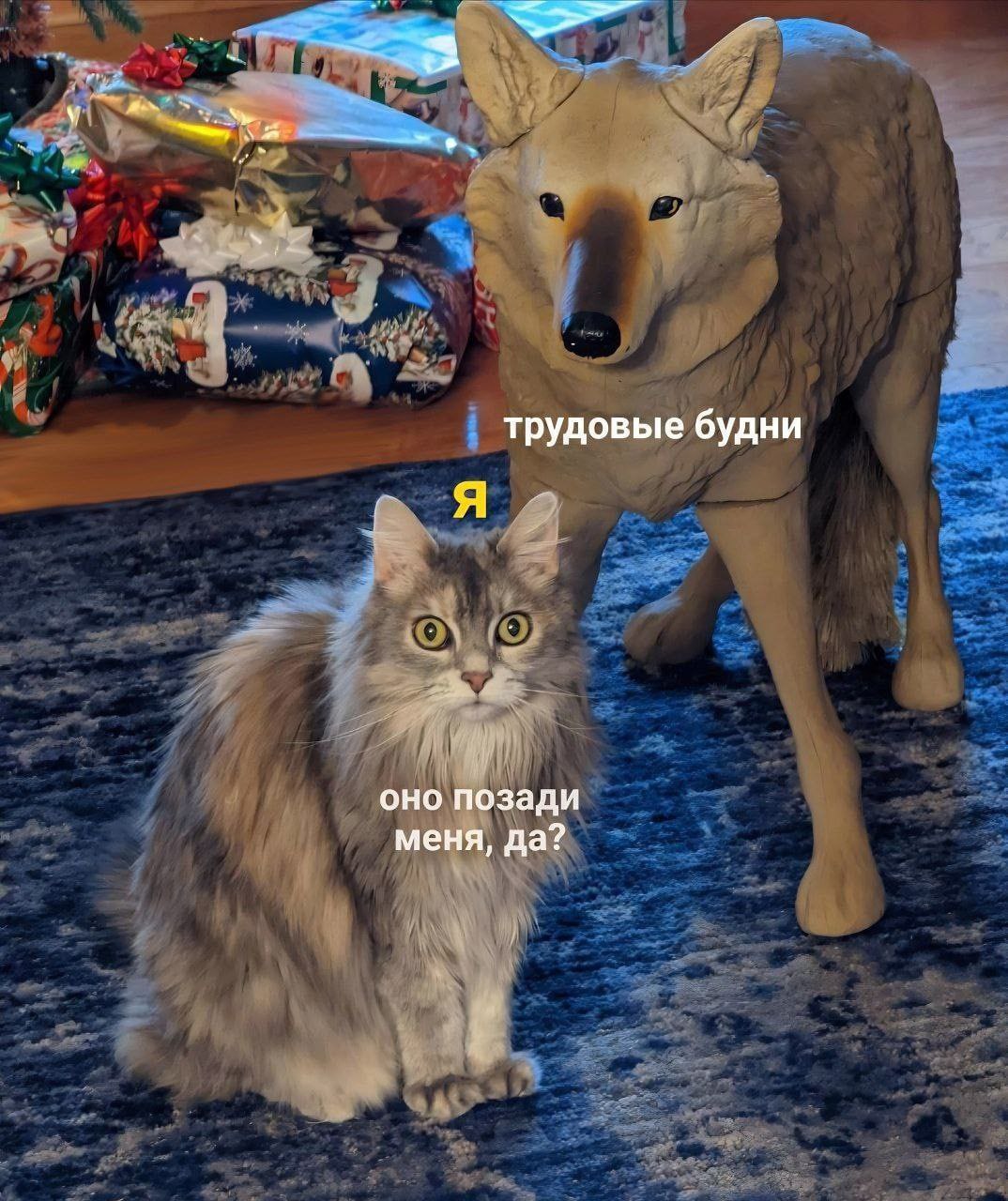 трудовые будни оно позади меня, да?