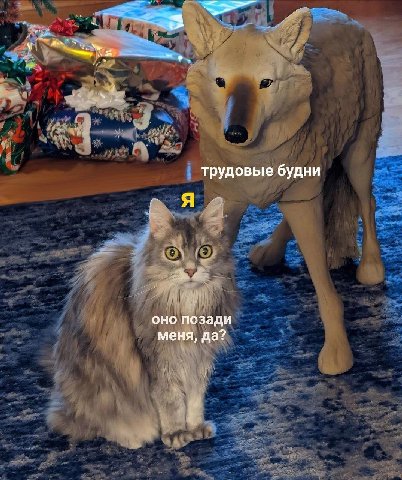 трудовые будни оно позади меня, да?