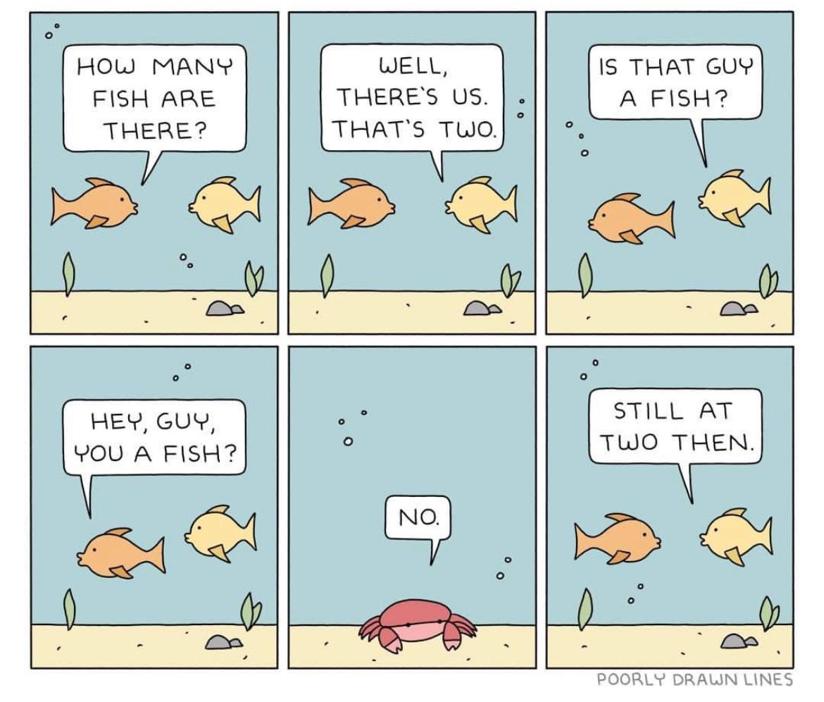 HOW MANY WELL, FISH ARE THERE'S THERE? THAT'S