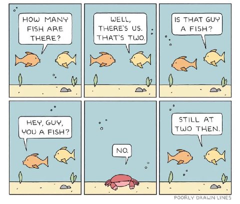HOW MANY WELL, FISH ARE THERE'S THERE? THAT'S