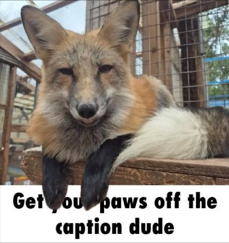 saws off the caption dude