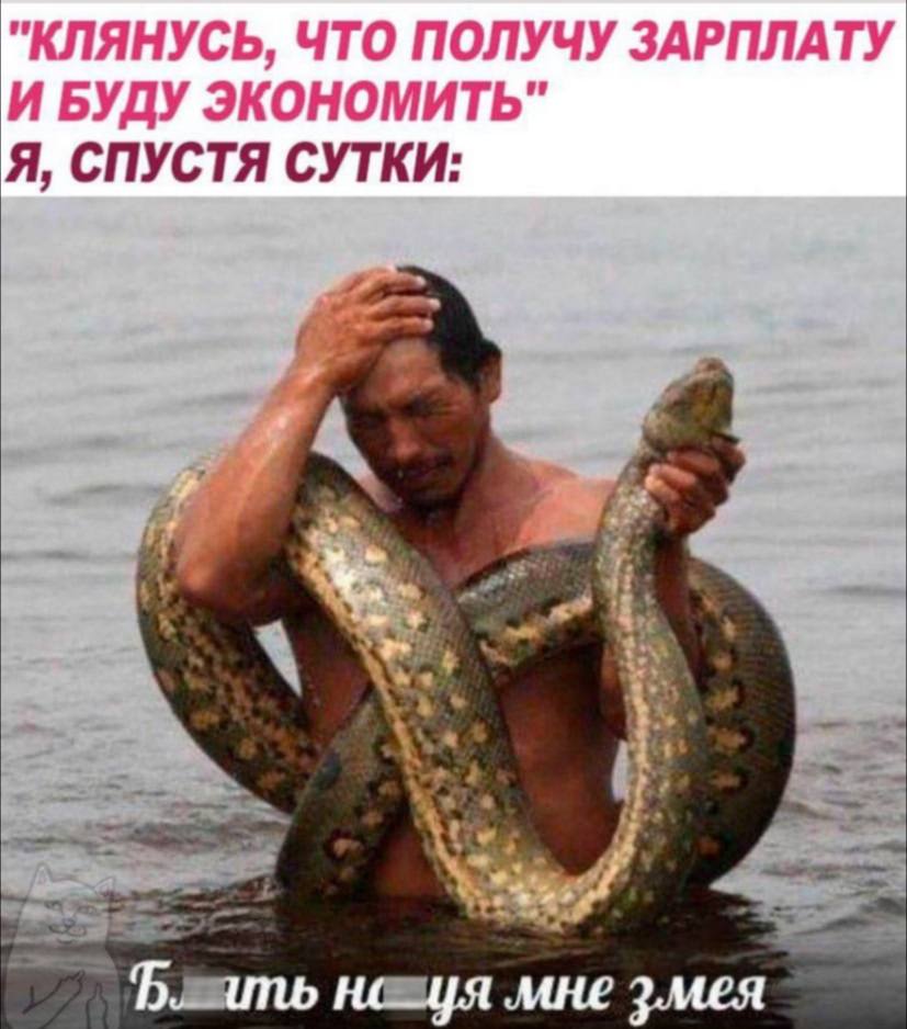 "КЛЯНУСЬ, ЧТО ПОЛУЧУ ЗАРПЛАТУ И БУДУ ЭКОНОМИТЬ" Я, СПУСТЯ СУТКИ: 4 мне змея