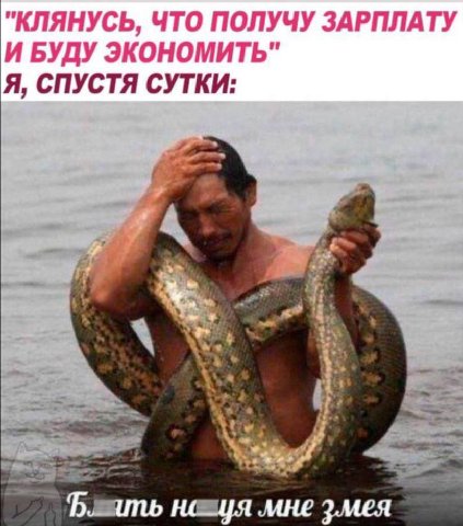 "КЛЯНУСЬ, ЧТО ПОЛУЧУ ЗАРПЛАТУ И БУДУ ЭКОНОМИТЬ" Я, СПУСТЯ СУТКИ: 4 мне змея