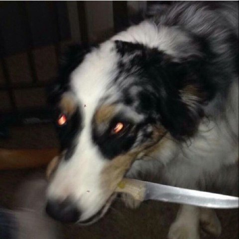 a