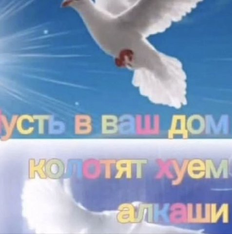 в ваш
