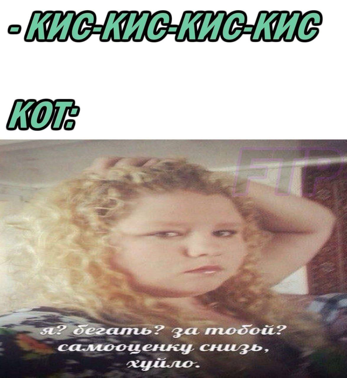 КИС к