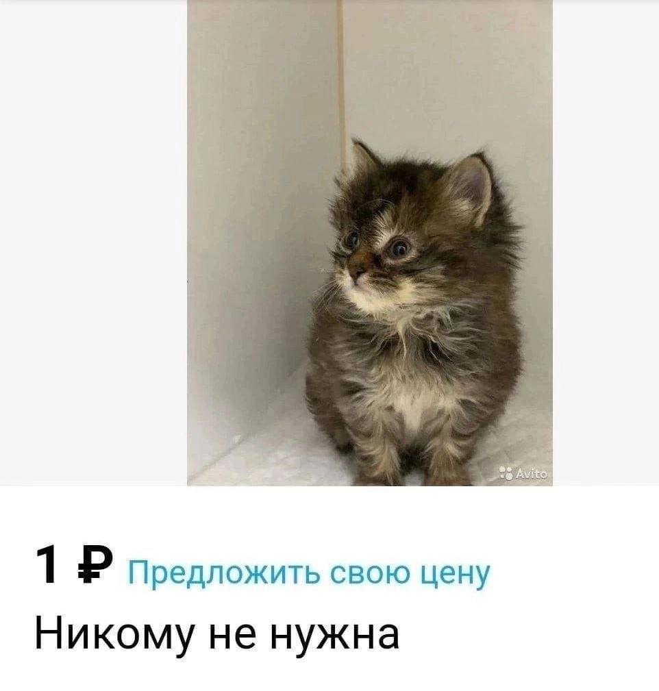 1 Предложить свою цену Никому не нужна