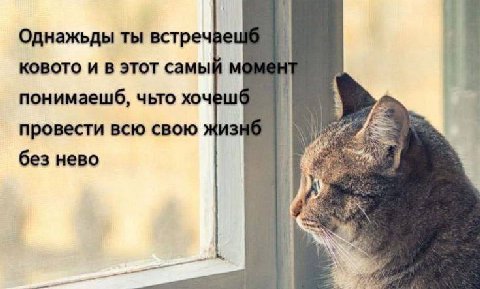 Однажьды ты встречае KOBOTO и в этот самый момен понимаешб, чьто 4 провести всю свою без нево